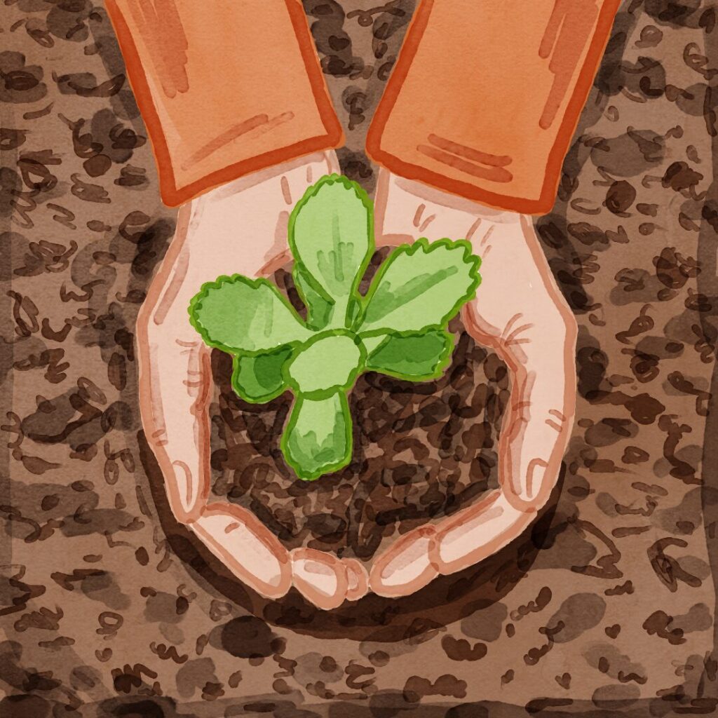 Illustrated image of hands holding a sprout in dirt